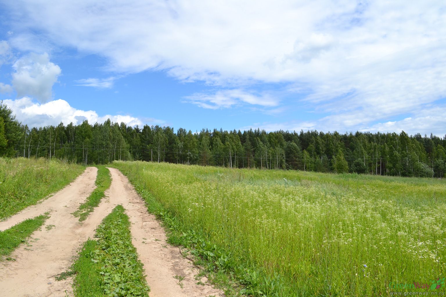 Купить Сад В Арзамасе Нижегородская Область